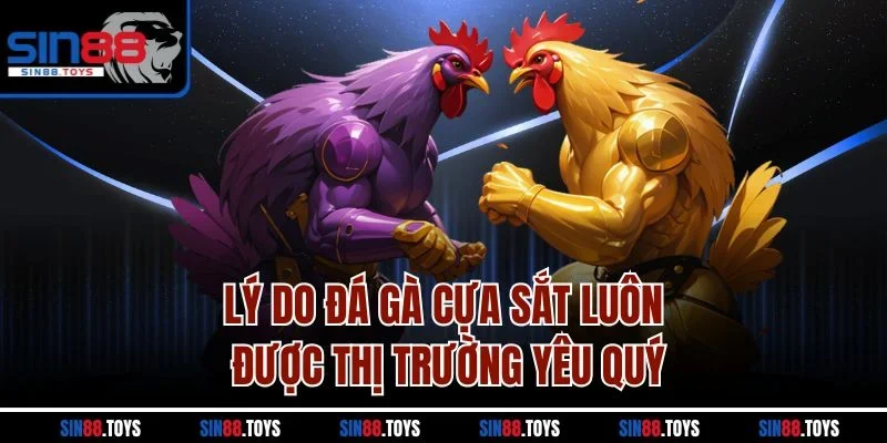 Lý do đá gà cựa sắt luôn được thị trường yêu quý
