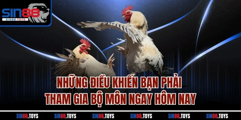 Những điều khiến bạn phải tham gia bộ môn ngay hôm nay