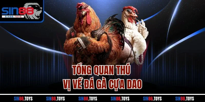 Tổng quan thú vị về đá gà cựa dao